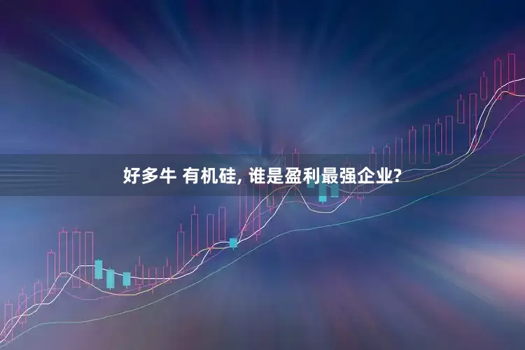 好多牛 有机硅, 谁是盈利最强企业?