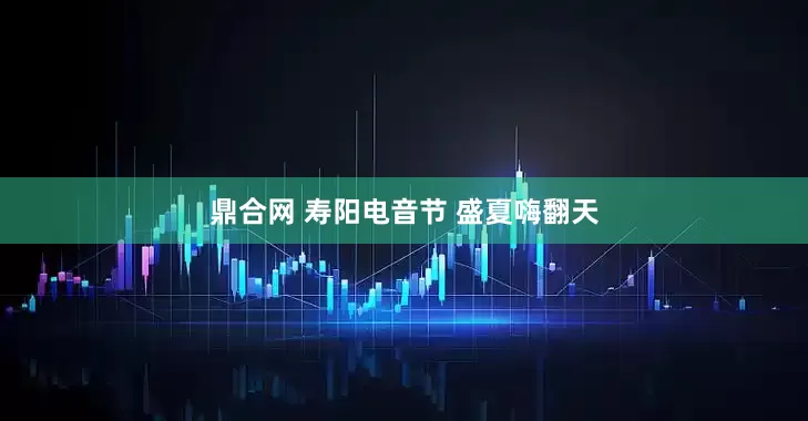 鼎合网 寿阳电音节 盛夏嗨翻天