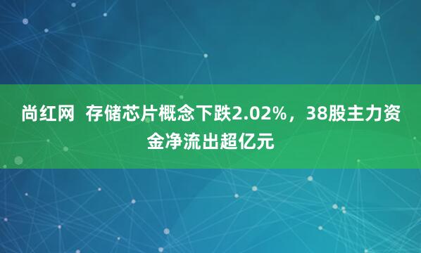 尚红网  存储芯片概念下跌2.02%，38股主力资金净流出超亿元
