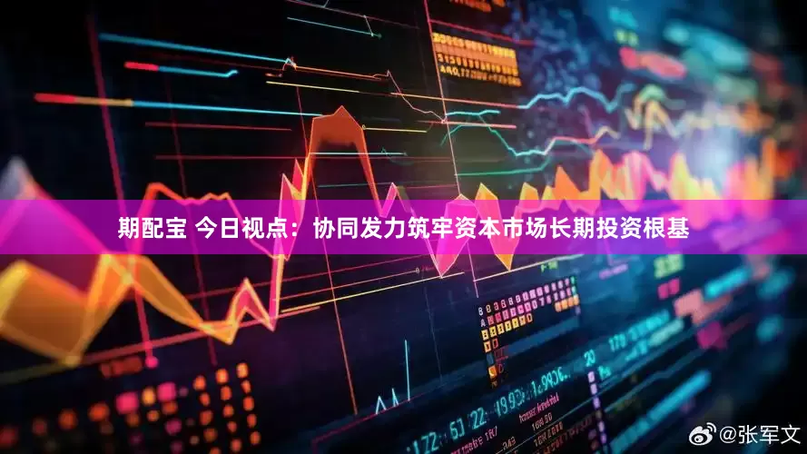 期配宝 今日视点：协同发力筑牢资本市场长期投资根基