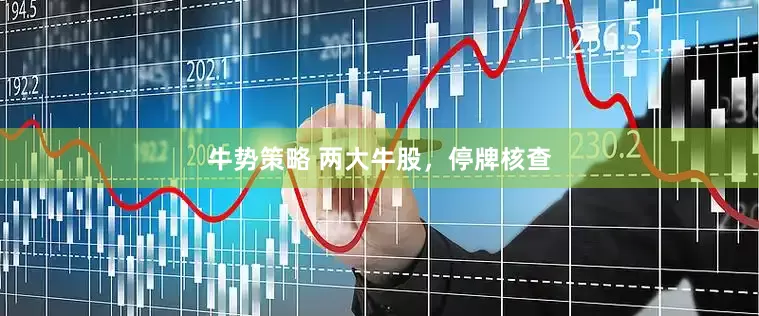 牛势策略 两大牛股，停牌核查